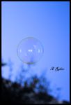 Bulle de renaissance