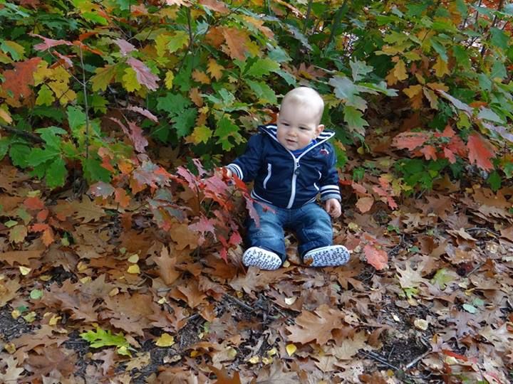 Daniël in het bos herfst 2013