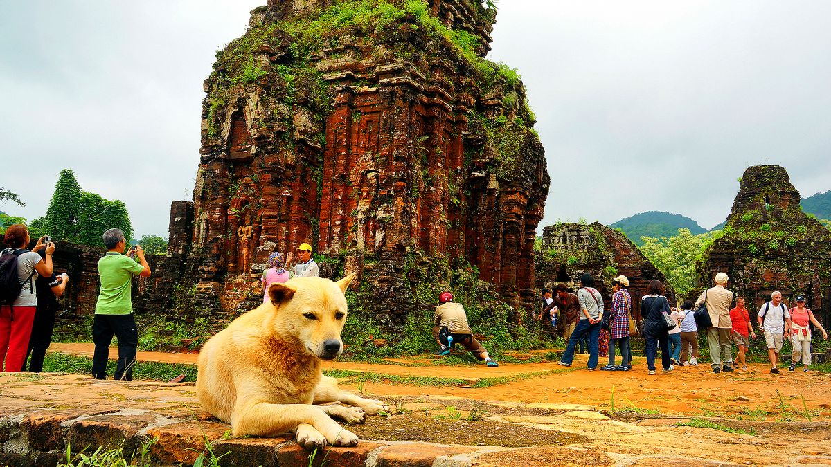 PERRO GUARDANDO RUINAS MILENARIAS