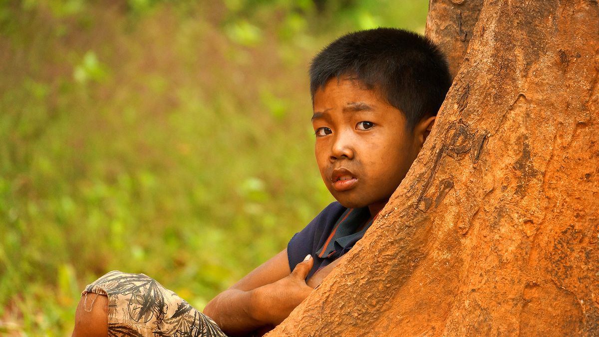 NIÑO ESCONDIDO EN UN BOSQUE DE CAMBOYA