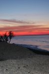 Plage au petit matin