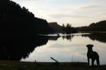 Öffentlich (krharli90)