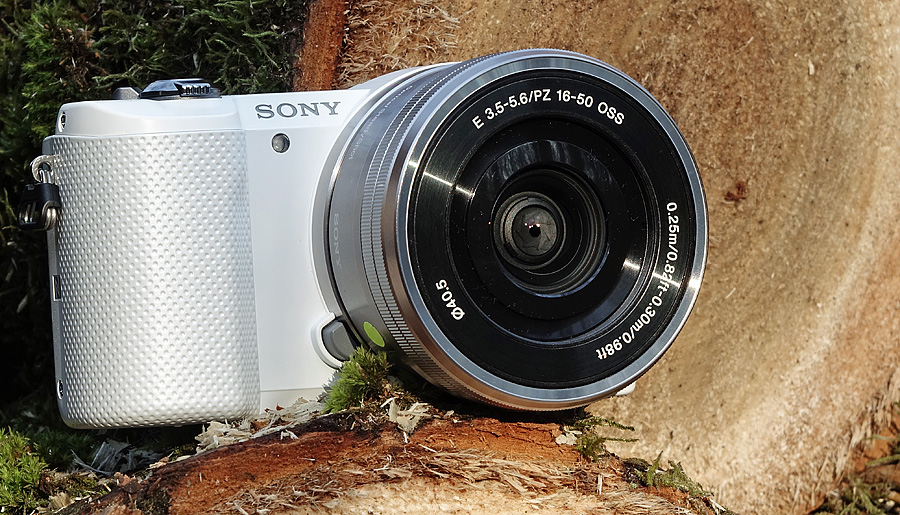 DSC08406_edited-1.jpg DSC08406_edited-1.jpg