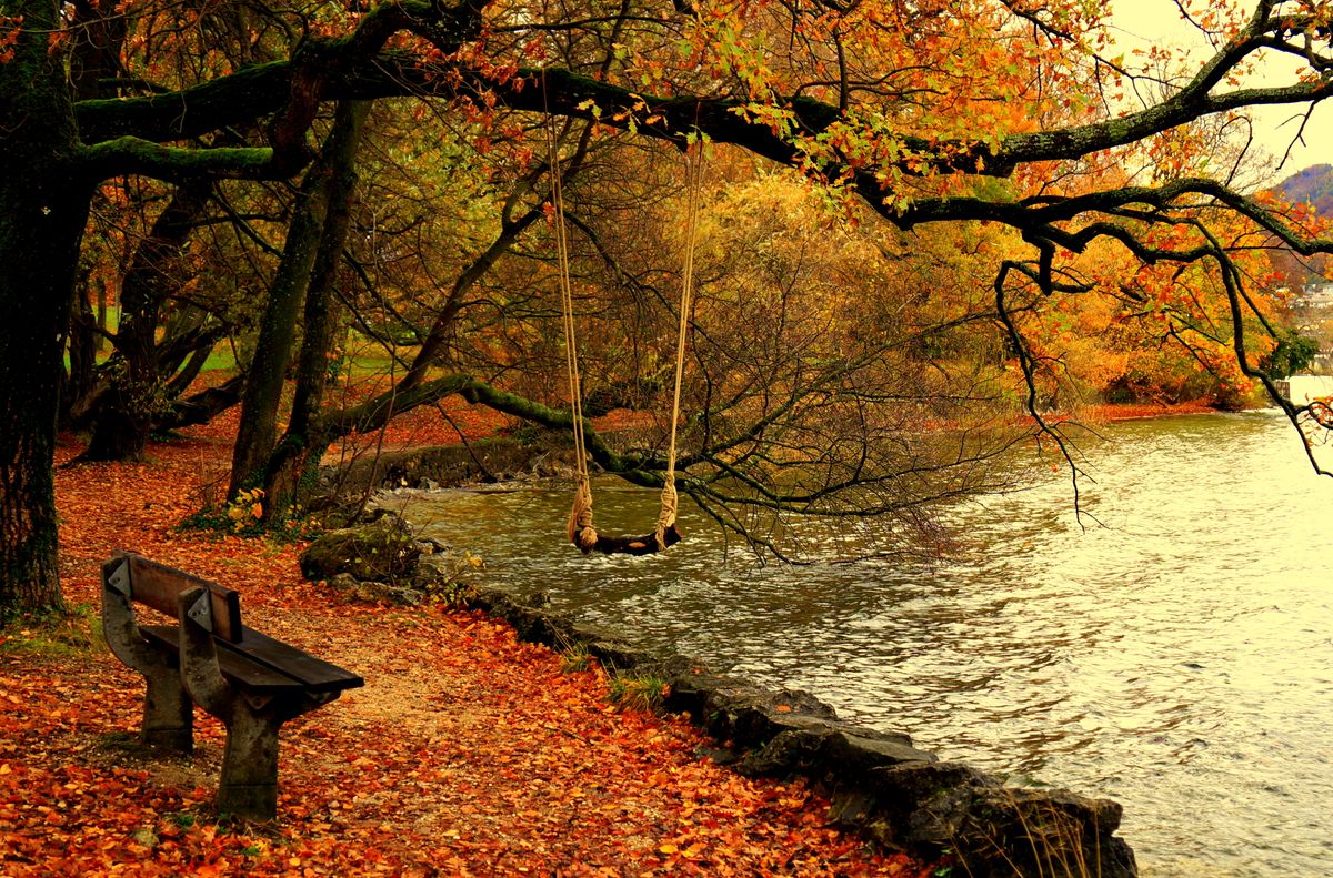 Autumnal lake