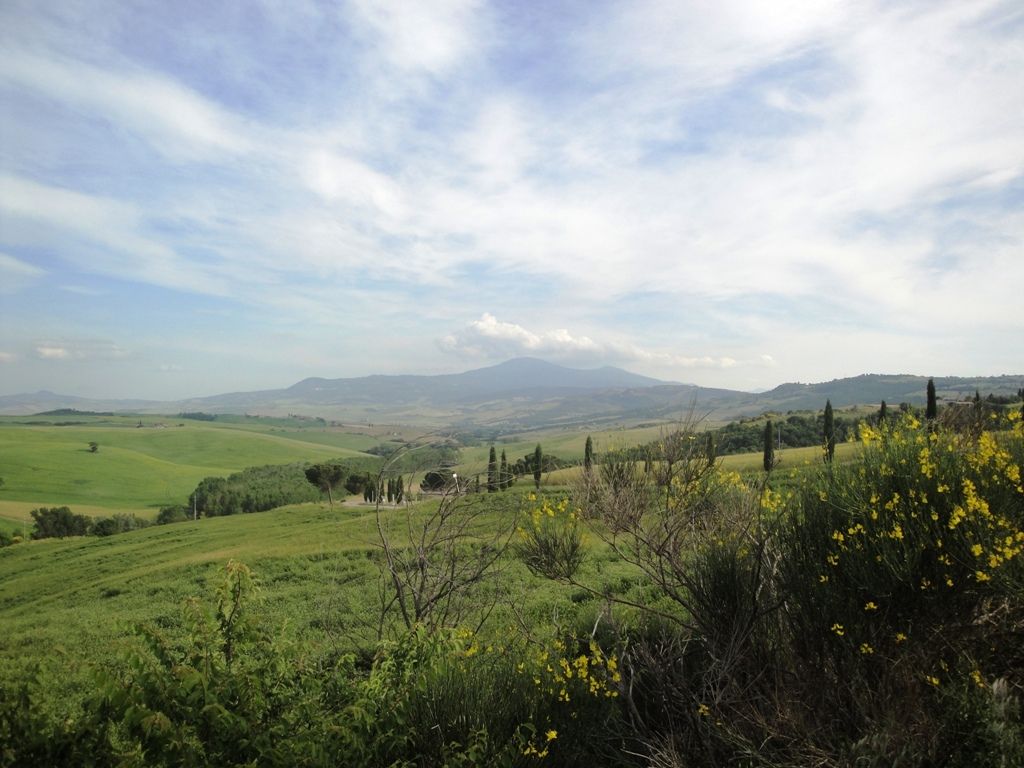 Colours of Tuscany 1