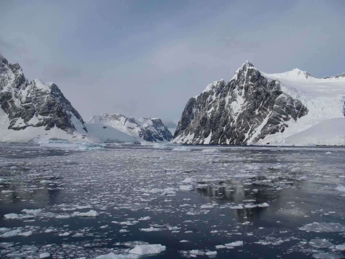 Antarctica - Le Maire Channel