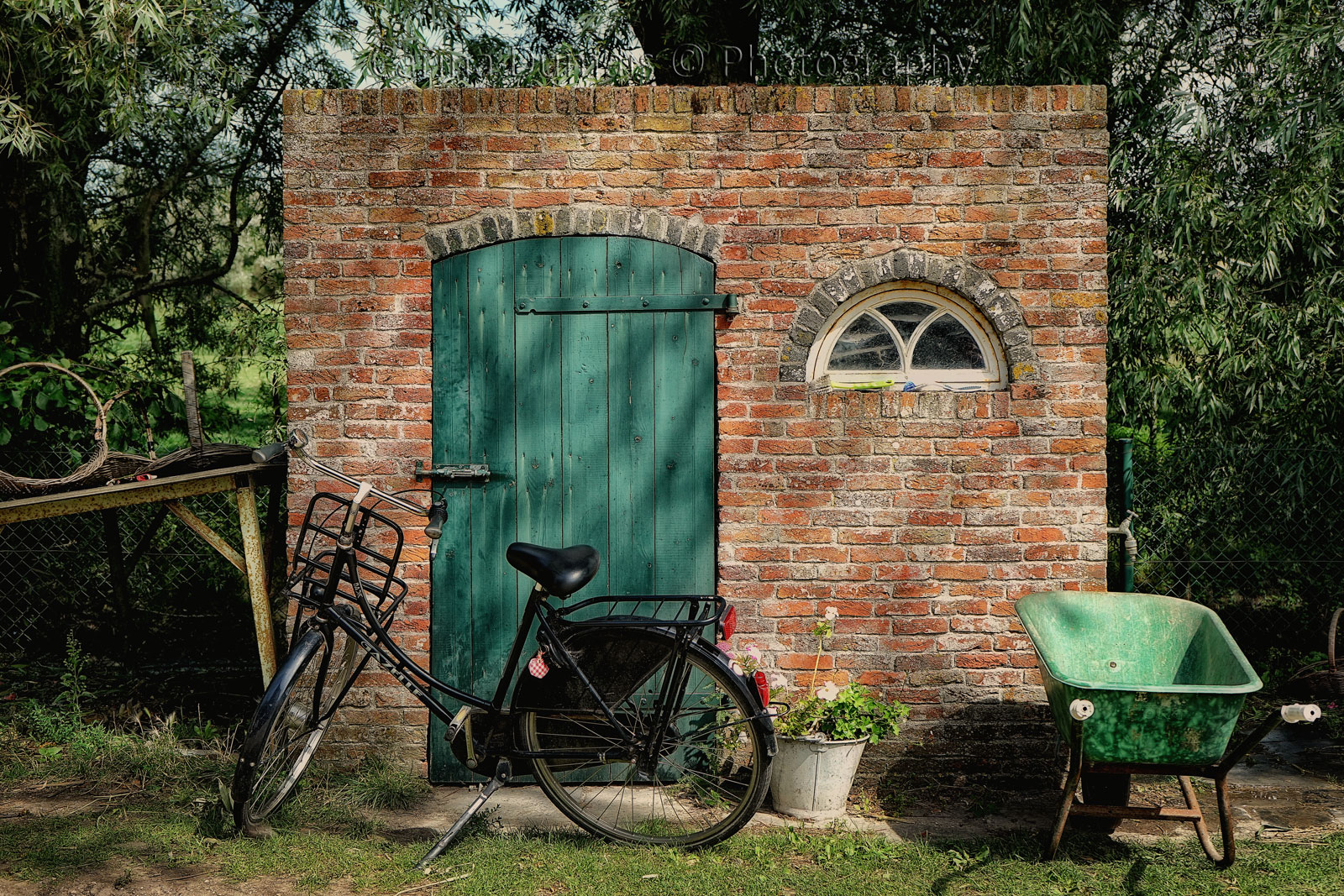 DSC00371web.jpg DSC00371web.jpg