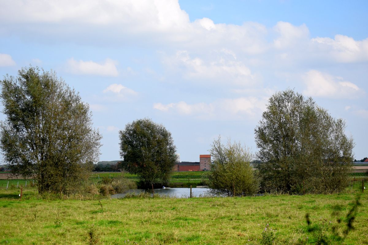 Landschap