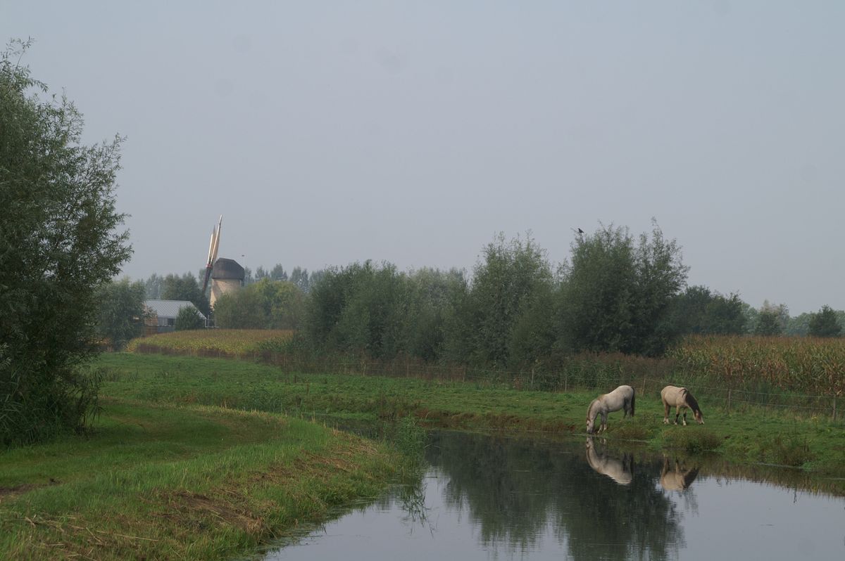 Kildonkse molen