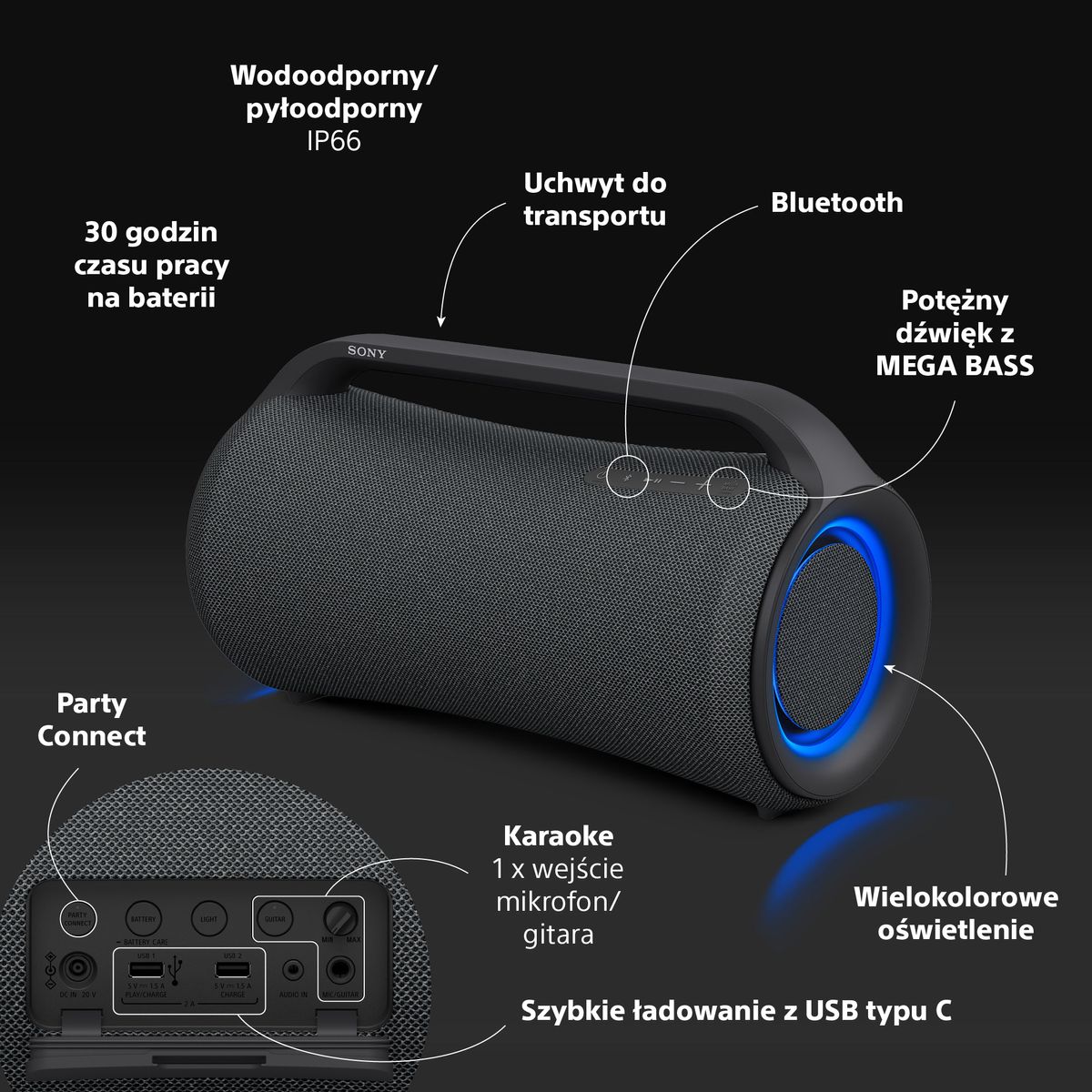 SRS-XG500_Infographic_PL.jpg