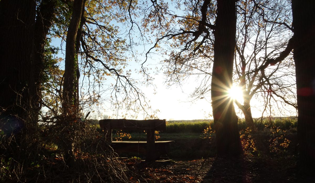 Ein schöner Abend im November.