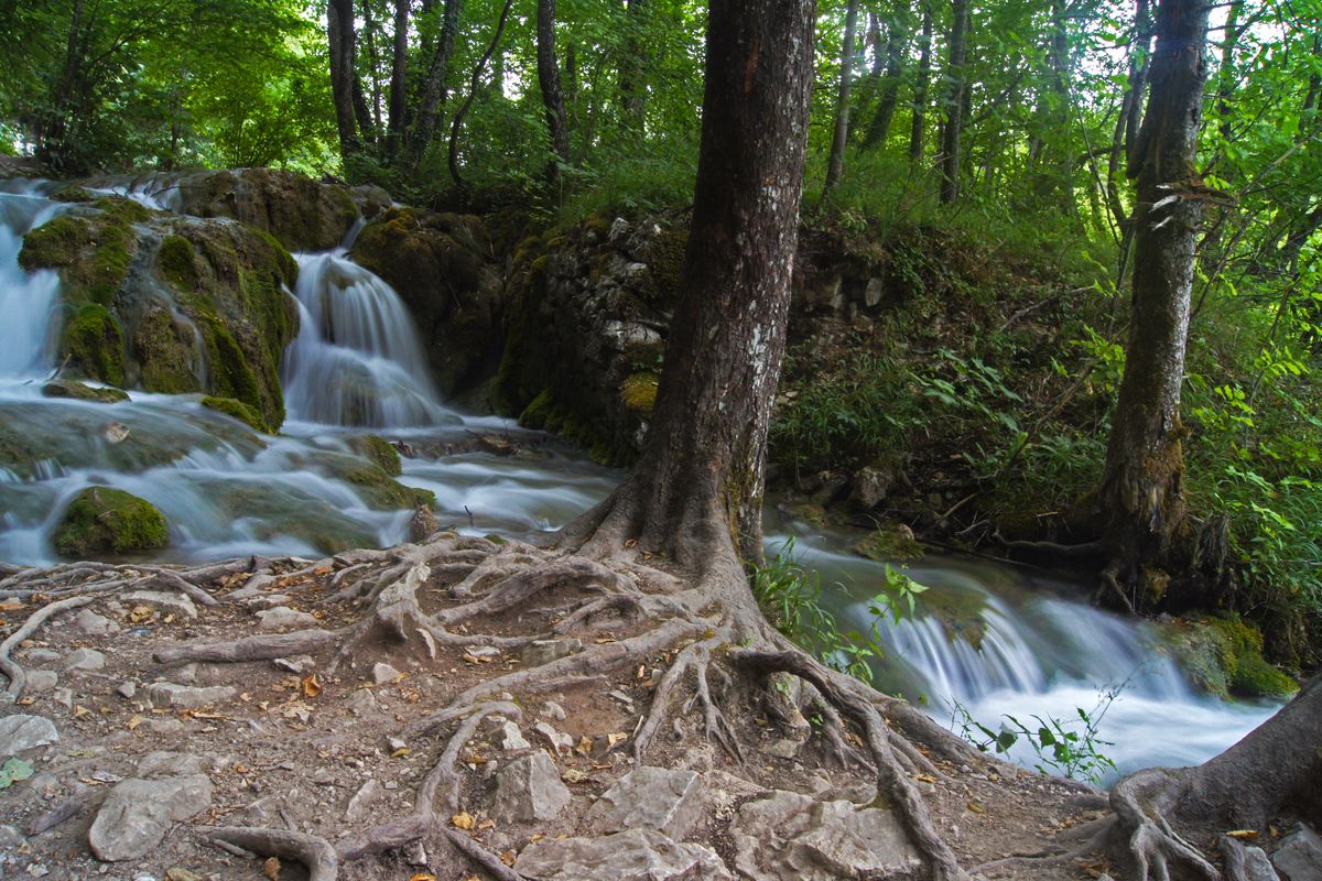 Deze foto heb ik genomen in Plitvice park in Kroatië. Met een lange sluitertijd leg je de beweging vast, met een klein diafragma kon ik vervolgens de belichting onder controle houden. Ik heb later de kleuren wat verzadigd en de foto iets lichter gemaakt